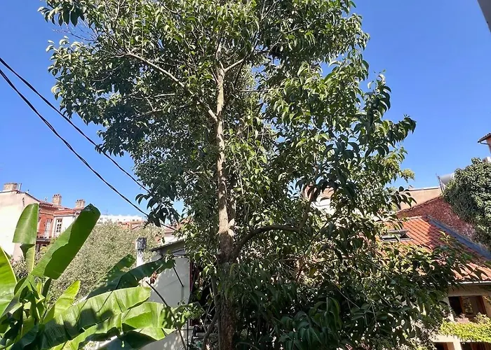 L'ecrin - Gare - Métro - Centre Appartement *